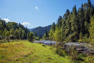 Sibirya taygası ile çevrili taştan yarıkları olan Iogach nehri. Turochaksky bölgesi, Batı Sibirya 'nın güneyi, Altai Cumhuriyeti, Rusya