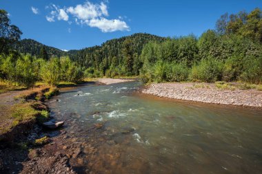 Sibirya taygası ile çevrili taştan yarıkları olan Iogach nehri. Turochaksky bölgesi, Batı Sibirya 'nın güneyi, Altai Cumhuriyeti, Rusya