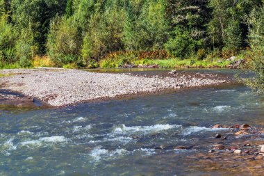 Sibirya taygası ile çevrili taştan yarıkları olan Iogach nehri. Turochaksky bölgesi, Batı Sibirya 'nın güneyi, Altai Cumhuriyeti, Rusya