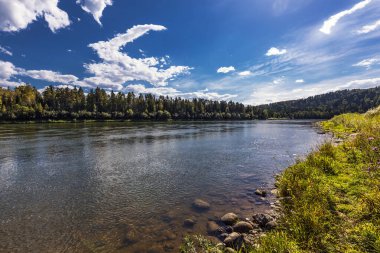 Biya Nehri Sibirya taygası ile çevrilidir. Turochaksky bölgesi, Altai Cumhuriyeti, Batı Sibirya 'nın güneyi, Rusya