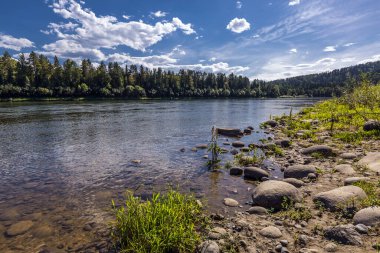 Biya Nehri Sibirya taygası ile çevrilidir. Turochaksky bölgesi, Altai Cumhuriyeti, Batı Sibirya 'nın güneyi, Rusya