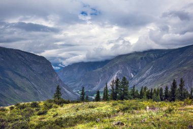 Chulyshman Nehir Vadisi yakınlarındaki Chulyshman dağlarının manzarası. Ulagansky bölgesi, Altai Cumhuriyeti, Batı Sibirya 'nın güneyi, Rusya
