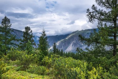 Chulyshman Nehir Vadisi yakınlarındaki Chulyshman dağlarının manzarası. Ulagansky bölgesi, Altai Cumhuriyeti, Batı Sibirya 'nın güneyi, Rusya