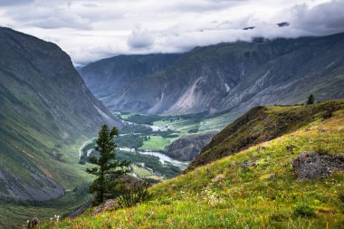 Chulyshman Vadisi 'nin Katu-Yaryk geçidinde Chulyshman nehri manzarası. Ulagansky bölgesi, Altai Cumhuriyeti, Batı Sibirya 'nın güneyi, Rusya