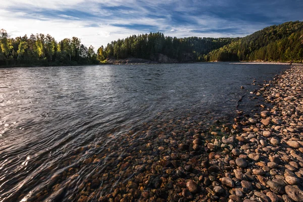 Biya Floden Nära Byn Turochak Turochakskydistriktet Altai Republiken Söder Västra — Stockfoto