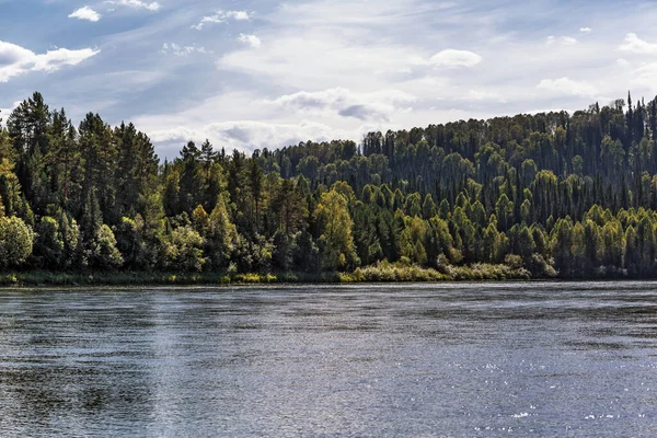 Biya Rivier Omgeven Door Siberische Taiga Turochaksky District Altai Republiek — Stockfoto