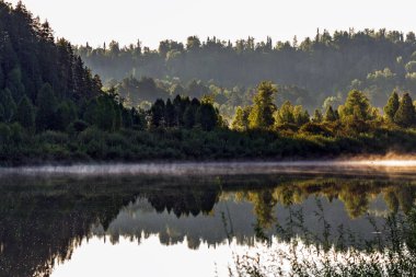 Sibirya Taygası 'nın çamı ile çevrili olan Kuğu nehri. Altai Cumhuriyeti 'nin Turochaksky ilçesi