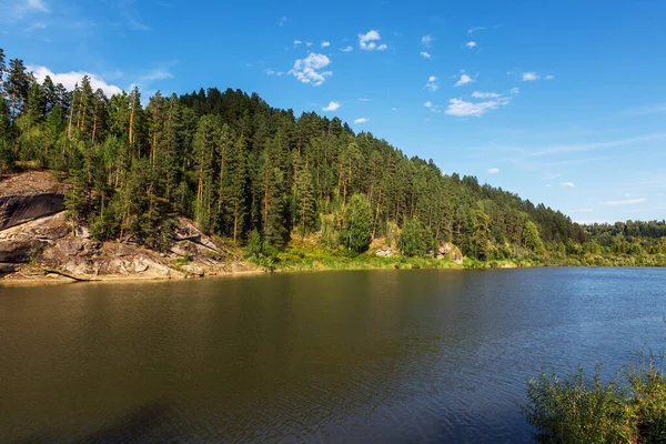 River Called Swan Surrounded Pine Siberian Taiga Turochaksky District Altai — Stock Photo, Image