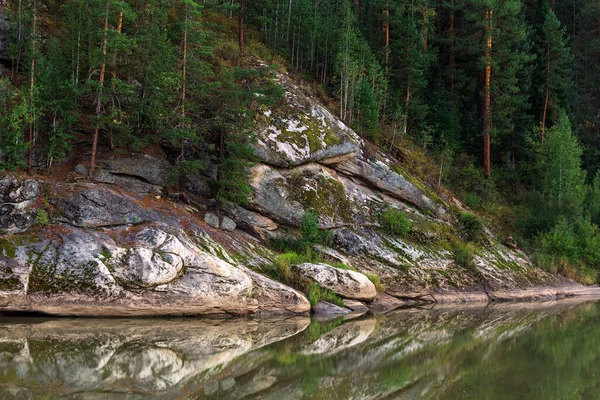 Río Llamado Cisne Rodeado Por Pino Taiga Siberiana Distrito Turochaksky — Foto de Stock