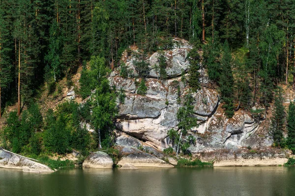 Râul Numit Lebădă Înconjurat Pinul Taigăi Siberiene Districtul Turochaksky Din — Fotografie, imagine de stoc