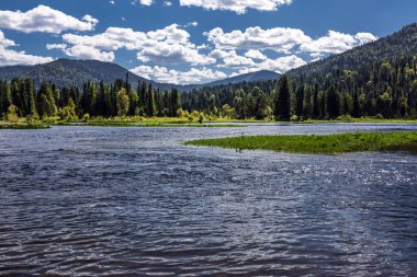 Bii Nehri 'nin kaynakları Artybash ve Teletskoye Gölü yakınlarındaki dağlar ve taygayla çevrilidir. Altai Cumhuriyeti 'nin Turochaksky ilçesi, Rusya, Batı Sibirya' nın güneyi.