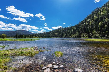 Bii Nehri 'nin kaynakları Artybash ve Teletskoye Gölü yakınlarındaki dağlar ve taygayla çevrilidir. Altai Cumhuriyeti 'nin Turochaksky ilçesi, Rusya, Batı Sibirya' nın güneyi.