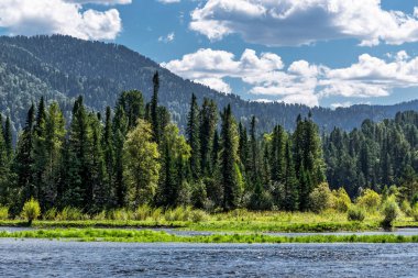 Bii Nehri 'nin kaynakları Artybash ve Teletskoye Gölü yakınlarındaki dağlar ve taygayla çevrilidir. Altai Cumhuriyeti 'nin Turochaksky ilçesi, Rusya, Batı Sibirya' nın güneyi.