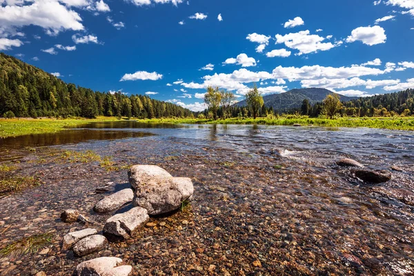 Bii Nehri 'nin kaynakları Artybash ve Teletskoye Gölü yakınlarındaki dağlar ve taygayla çevrilidir. Altai Cumhuriyeti 'nin Turochaksky ilçesi, Rusya, Batı Sibirya' nın güneyi.