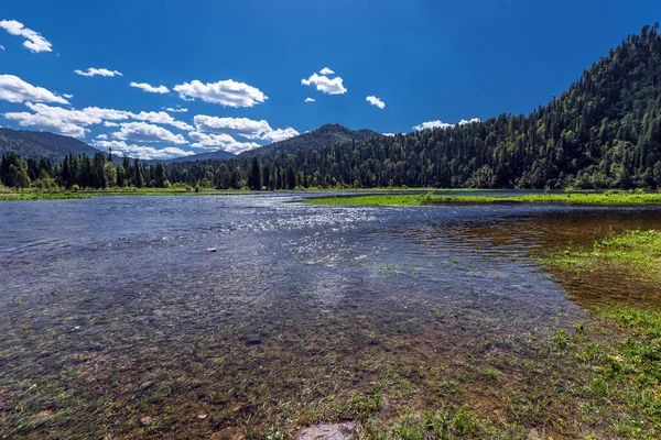 Bii Nehri 'nin kaynakları Artybash ve Teletskoye Gölü yakınlarındaki dağlar ve taygayla çevrilidir. Altai Cumhuriyeti 'nin Turochaksky ilçesi, Rusya, Batı Sibirya' nın güneyi.