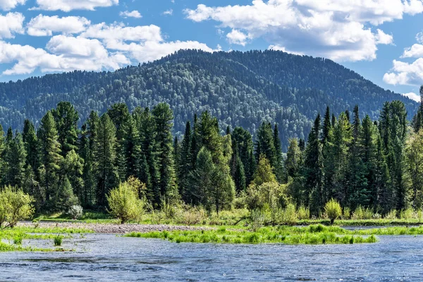 Las Fuentes Del Río Bii Están Rodeadas Montañas Taiga Cerca — Foto de Stock