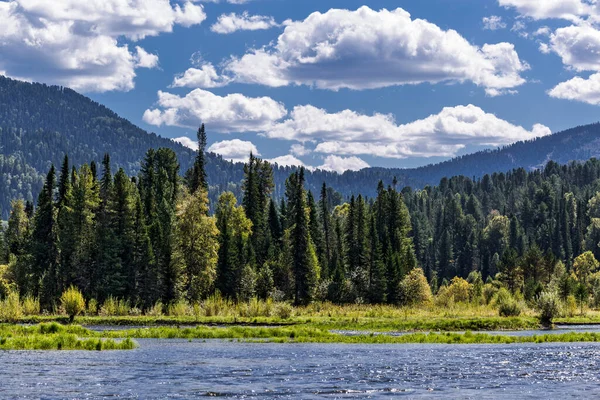 Bii Nehri 'nin kaynakları Artybash ve Teletskoye Gölü yakınlarındaki dağlar ve taygayla çevrilidir. Altai Cumhuriyeti 'nin Turochaksky ilçesi, Rusya, Batı Sibirya' nın güneyi.
