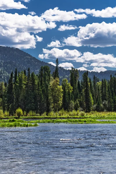 Sources Bii River Surrounded Mountains Taiga Village Artybash Lake Teletskoye — Stock Photo, Image