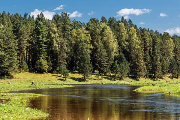 Las Fuentes Del Río Bii Están Rodeadas Montañas Taiga Cerca — Foto de Stock