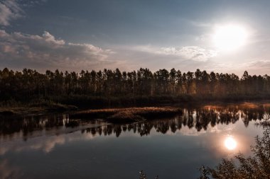 Nehirli yaz manzarası. Berd Nehri, Iskitimsky Bölgesi, Novosibirsk Oblastı, Batı Sibirya, Rusya