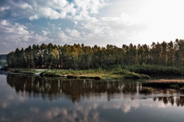 Nehirli yaz manzarası. Berd Nehri, Iskitimsky Bölgesi, Novosibirsk Oblastı, Batı Sibirya, Rusya