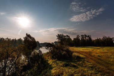Nehirli yaz manzarası. Berd Nehri, Iskitimsky Bölgesi, Novosibirsk Oblastı, Batı Sibirya, Rusya