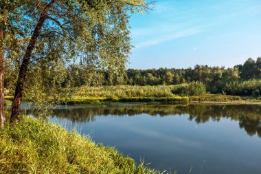 Nehirli yaz manzarası. Berd Nehri, Iskitimsky Bölgesi, Novosibirsk Oblastı, Batı Sibirya, Rusya