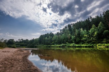 Nehirli yaz manzarası. Berd Nehri, Iskitimsky Bölgesi, Novosibirsk Oblastı, Batı Sibirya, Rusya