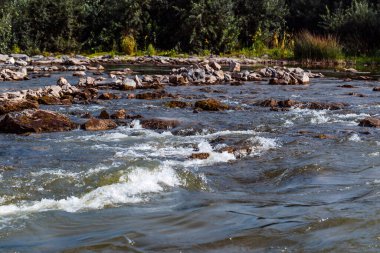 Nehirli yaz manzarası. Berd Nehri, Iskitimsky Bölgesi, Novosibirsk Oblastı, Batı Sibirya, Rusya