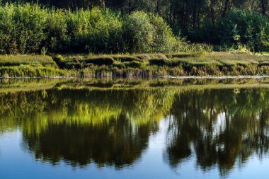 Nehirli yaz manzarası. Berd Nehri, Iskitimsky Bölgesi, Novosibirsk Oblastı, Batı Sibirya, Rusya