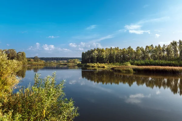 Summer landscape with a river. Berd River, Iskitimsky District, Novosibirsk Oblast, Western Siberia, Russia