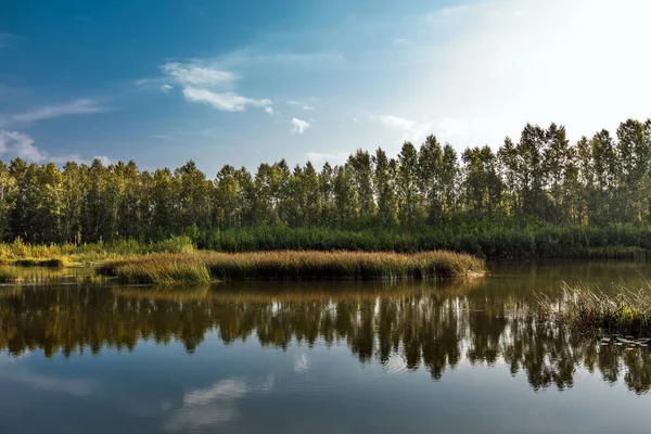 Nehirli yaz manzarası. Berd Nehri, Iskitimsky Bölgesi, Novosibirsk Oblastı, Batı Sibirya, Rusya