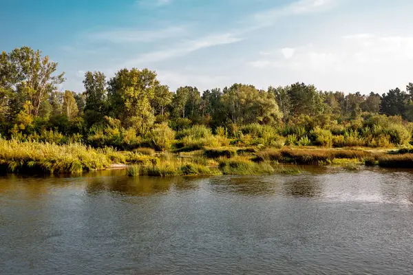 Καλοκαίρι Τοπίο Ένα Ποτάμι Berd River Περιφέρεια Iskitimsky Περιφέρεια Novosibirsk — Φωτογραφία Αρχείου