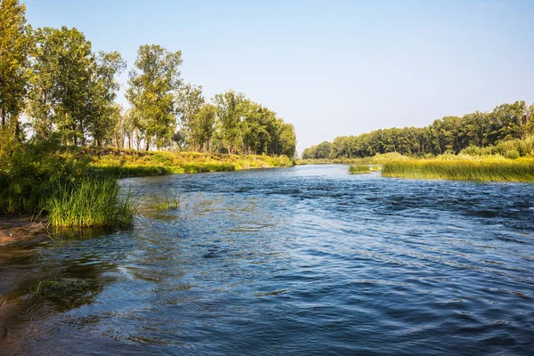 Summer landscape with a river. Berd River, Iskitimsky District, Novosibirsk Oblast, Western Siberia, Russia