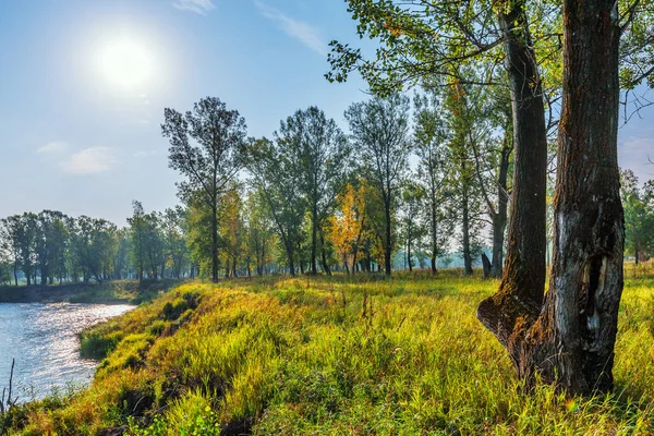 Paysage Estival Avec Une Rivière Rivière Berd District Iskitimsky Oblast — Photo