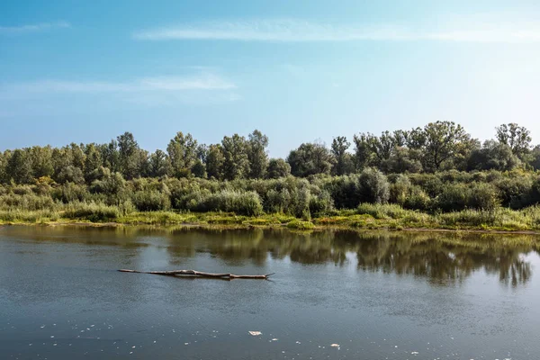 Summer landscape with a river. Berd River, Iskitimsky District, Novosibirsk Oblast, Western Siberia, Russia