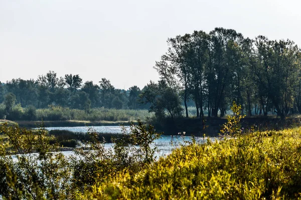 Summer landscape with a river. Berd River, Iskitimsky District, Novosibirsk Oblast, Western Siberia, Russia