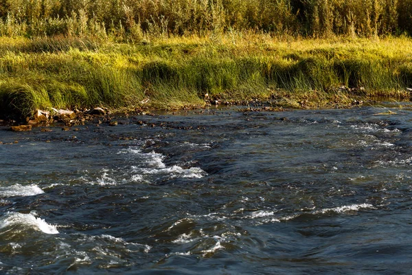 Summer landscape with a river. Berd River, Iskitimsky District, Novosibirsk Oblast, Western Siberia, Russia