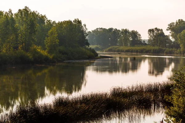 Summer landscape with a river. Berd River, Iskitimsky District, Novosibirsk Oblast, Western Siberia, Russia