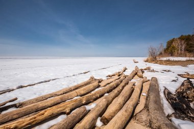 Baharda Ob Denizi kıyısında. Berdsk, Novosibirsk bölgesi, Batı Sibirya - 11 Nisan 2021