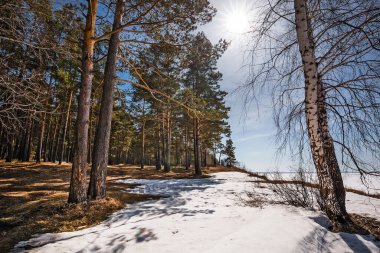 Baharda Ob Denizi kıyısında. Berdsk, Novosibirsk bölgesi, Batı Sibirya - 11 Nisan 2021