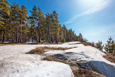 Baharda Ob Denizi kıyısında. Berdsk, Novosibirsk bölgesi, Batı Sibirya - 11 Nisan 2021