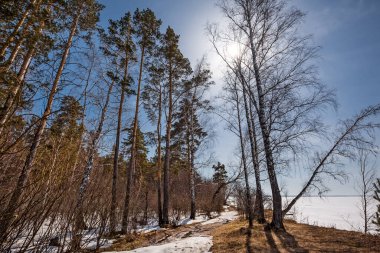 Baharda Ob Denizi kıyısında. Berdsk, Novosibirsk bölgesi, Batı Sibirya - 11 Nisan 2021