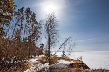 Baharda Ob Denizi kıyısında. Berdsk, Novosibirsk bölgesi, Batı Sibirya - 11 Nisan 2021