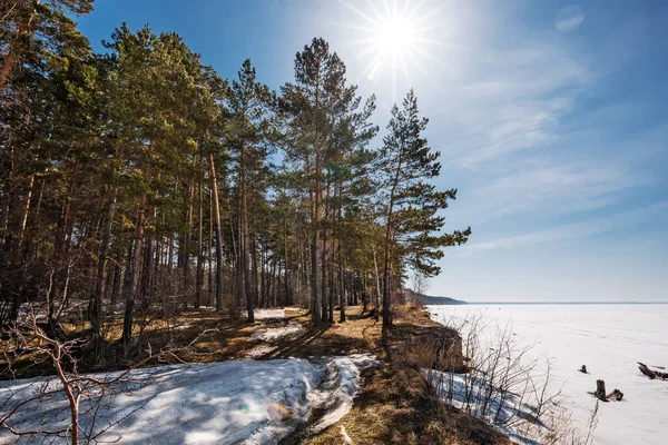 Coast Sea Spring Berdsk Novosibirsk Region Western Siberia April 2021 — Stock Photo, Image