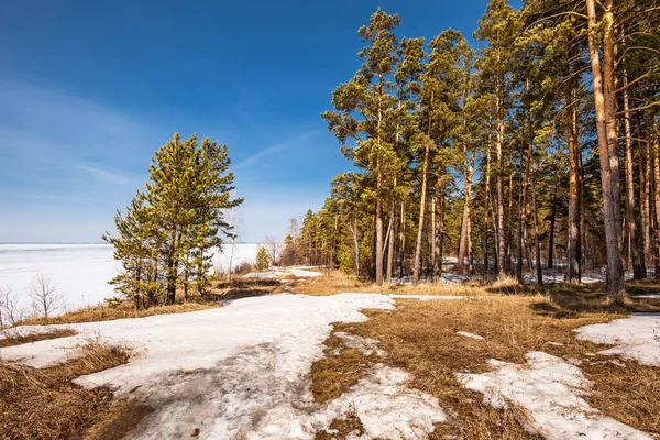 Coast Sea Spring Berdsk Novosibirsk Region Western Siberia April 2021 — Stock Photo, Image