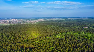 Bird's-eye view of the pine forest surrounding the city. Berdsk, Novosibirsk Region, Western Siberia, Russia