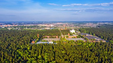 Bird's-eye view of the pine forest surrounding the city. Berdsk, Novosibirsk Region, Western Siberia, Russia