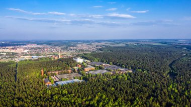 Bird's-eye view of the pine forest surrounding the city. Berdsk, Novosibirsk Region, Western Siberia, Russia