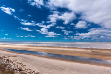 Baharda Ob Nehri kıyısında. Berdsk, Novosibirsk Bölgesi, Batı Sibirya Rusya